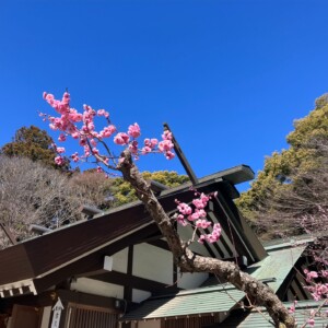 偕楽園で梅を訪ねる旅。日本三名園がみせる早春の彩り