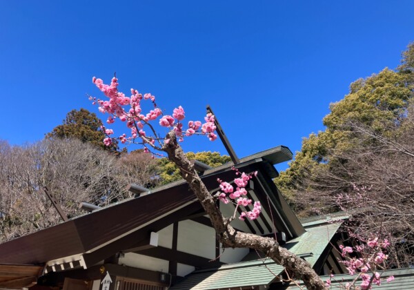 偕楽園で梅を訪ねる旅。日本三名園がみせる早春の彩り