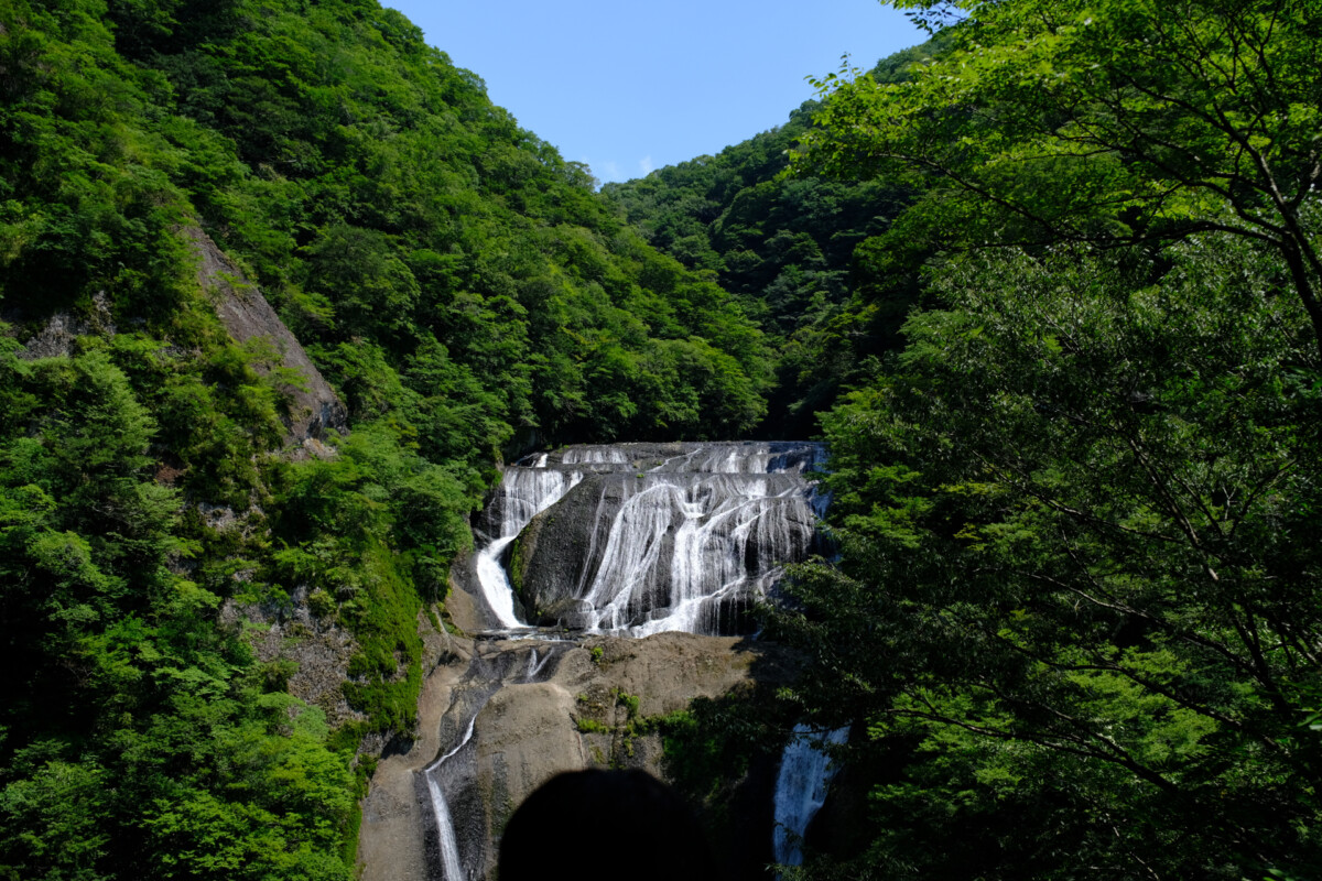 一年に四度訪ねたくなる滝、袋田の滝で出会う四季の表情