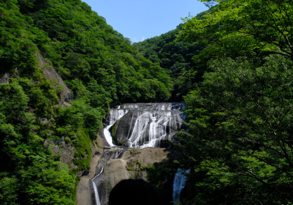 一年に四度訪ねたくなる滝、袋田の滝で出会う四季の表情