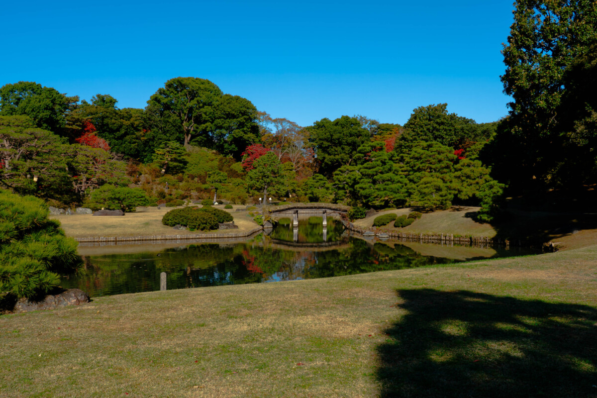 六義園の紅葉に会いに行く。大名庭園めぐりで秋を楽しむ旅