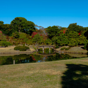 六義園の紅葉に会いに行く。大名庭園めぐりで秋を楽しむ旅
