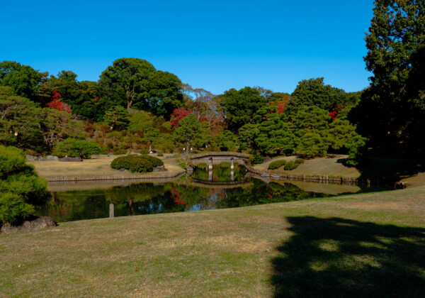 六義園の紅葉に会いに行く。大名庭園めぐりで秋を楽しむ旅