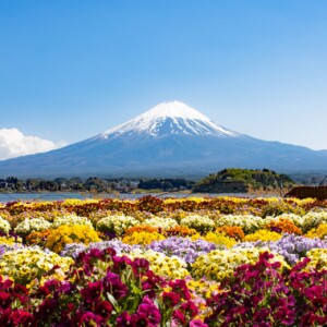 河口湖 富士山を望む湖畔ガイド 湖と桜と鐘の音が織りなす五つの絶景