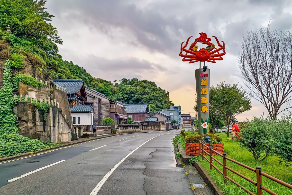 越前がにに恋する冬。福井で味わいたい蟹の物語