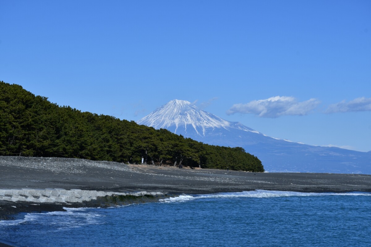三保松原 富士を望む白砂青松、四つの絶景ポイント