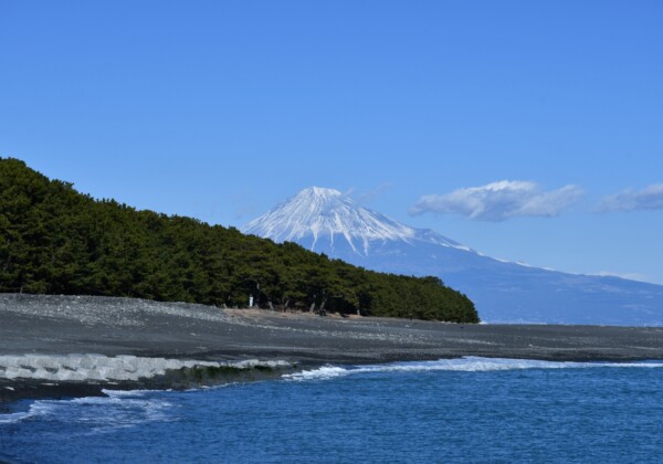 三保松原 富士を望む白砂青松、四つの絶景ポイント