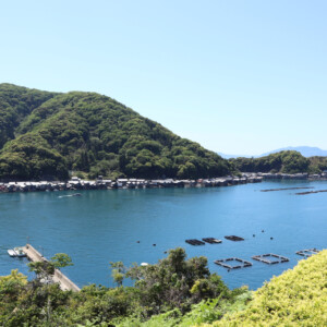 伊根の舟屋、海と暮らす集落をめぐる旅