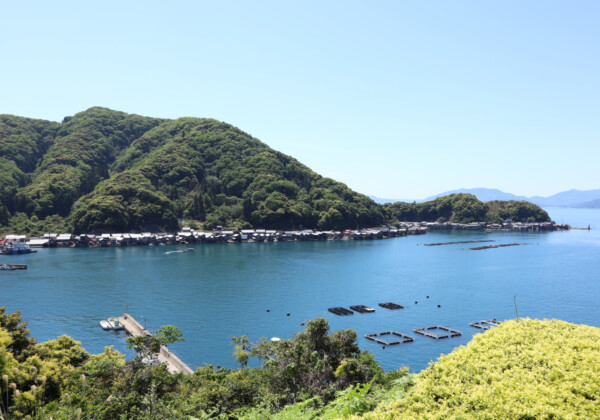 伊根の舟屋、海と暮らす集落をめぐる旅