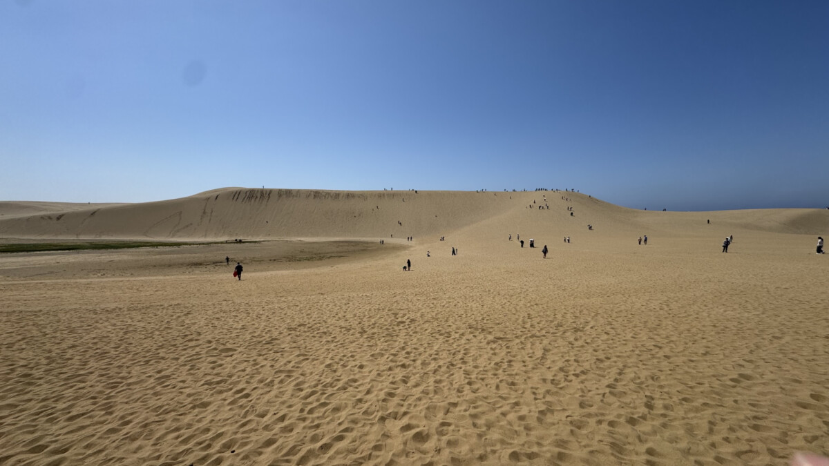 鳥取砂丘 風と時間がつくる日本最大級の砂の絶景