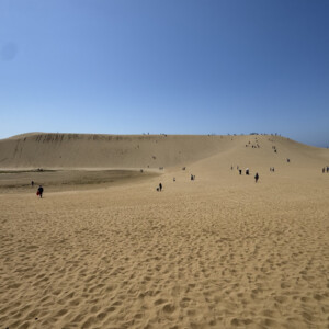 鳥取砂丘 風と時間がつくる日本最大級の砂の絶景