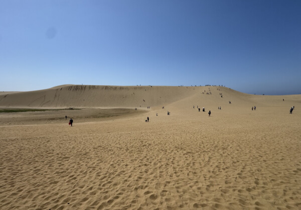 鳥取砂丘 風と時間がつくる日本最大級の砂の絶景