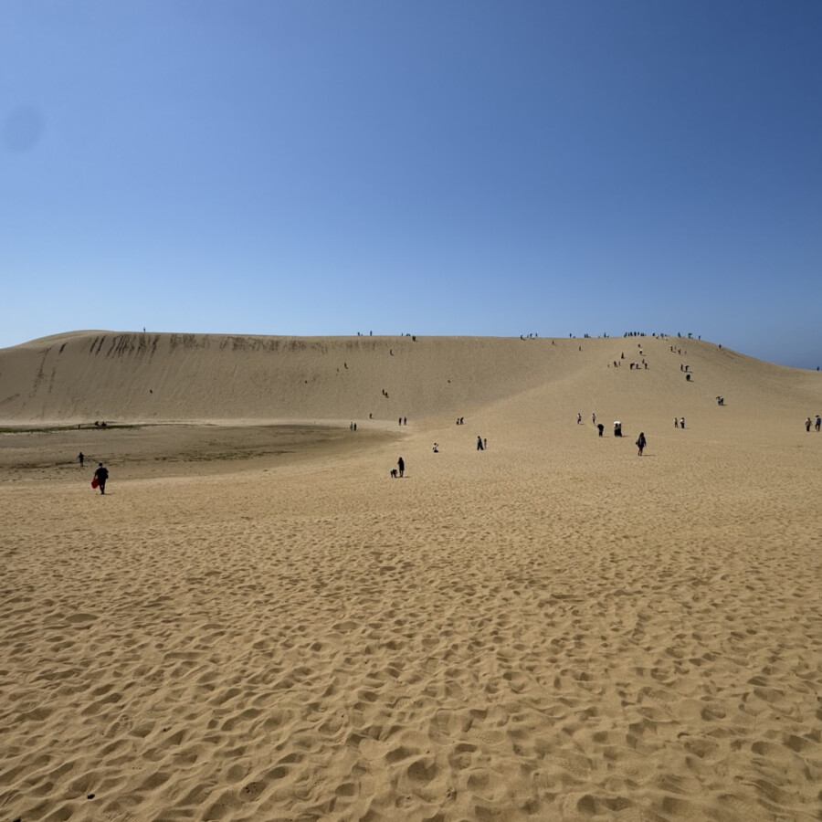 鳥取砂丘 風と時間がつくる日本最大級の砂の絶景