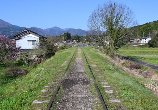 山陰旅行で出会いたい町並み 倉吉 白壁土蔵群さんぽガイド