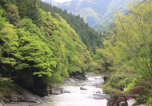 祖谷渓とかずら橋の秘境、四国のもうひとつの奥座敷へ