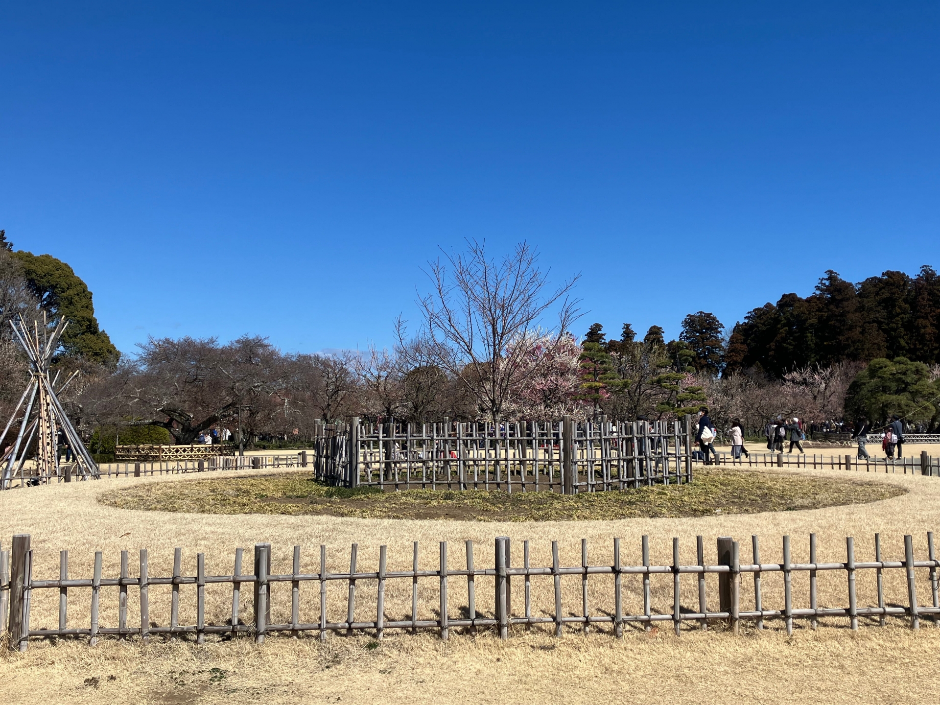 偕楽園で梅を訪ねる旅。日本三名園がみせる早春の彩り
