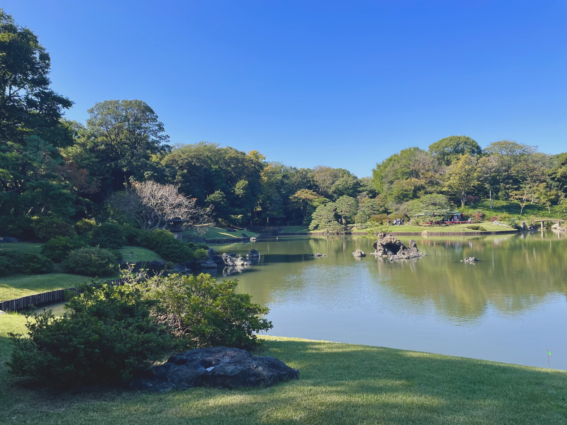 六義園の紅葉に会いに行く。大名庭園めぐりで秋を楽しむ旅