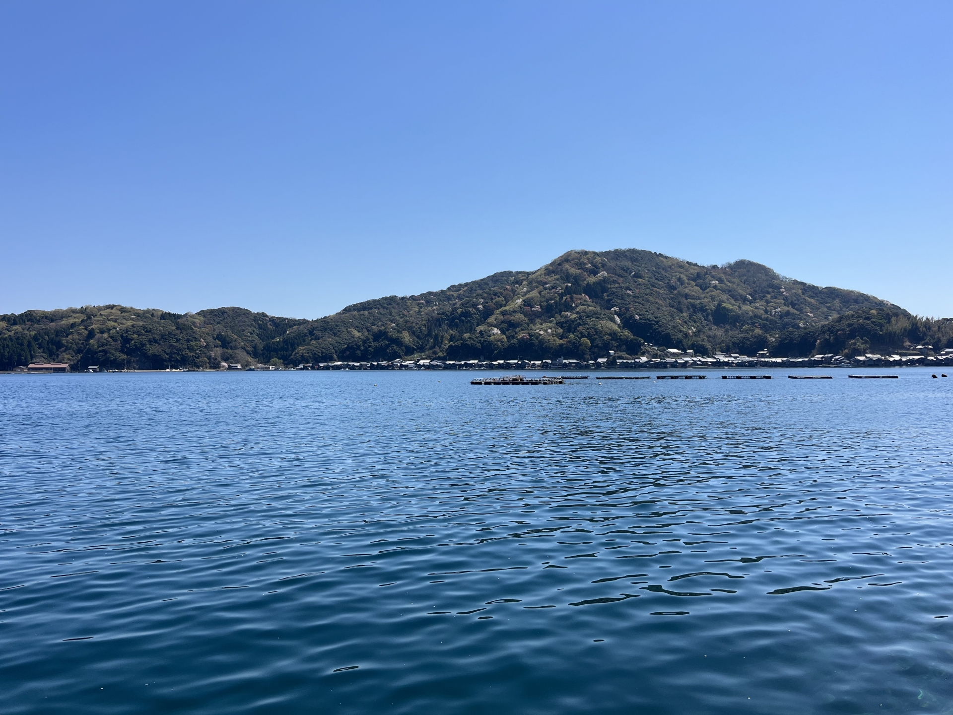 伊根の舟屋、海と暮らす集落をめぐる旅