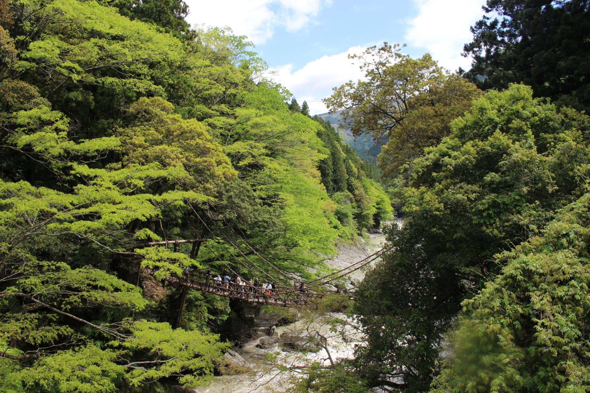 祖谷渓とかずら橋の秘境、四国のもうひとつの奥座敷へ