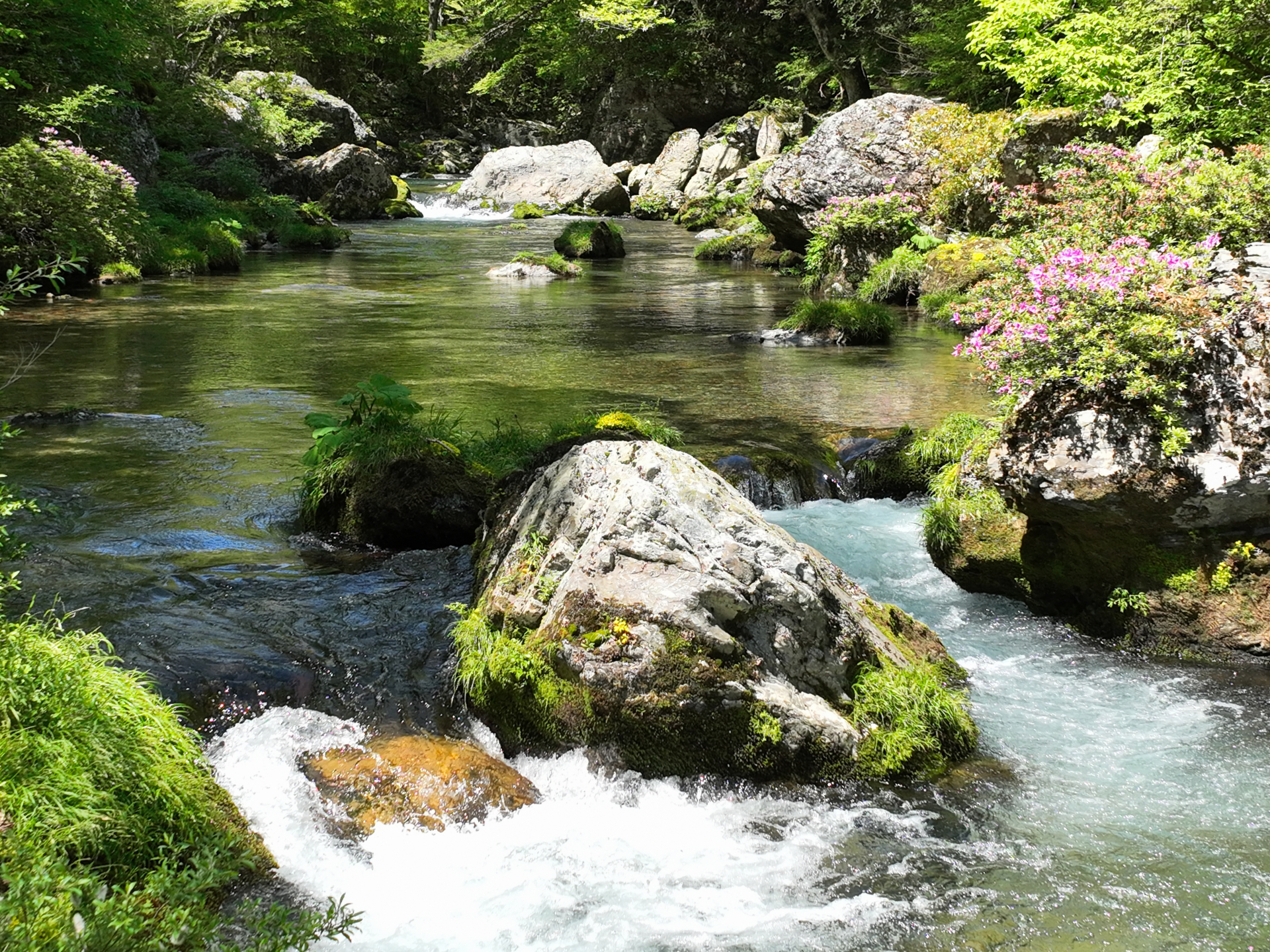 内子町 白壁の町並みを歩く旅 見どころとおすすめの過ごし方