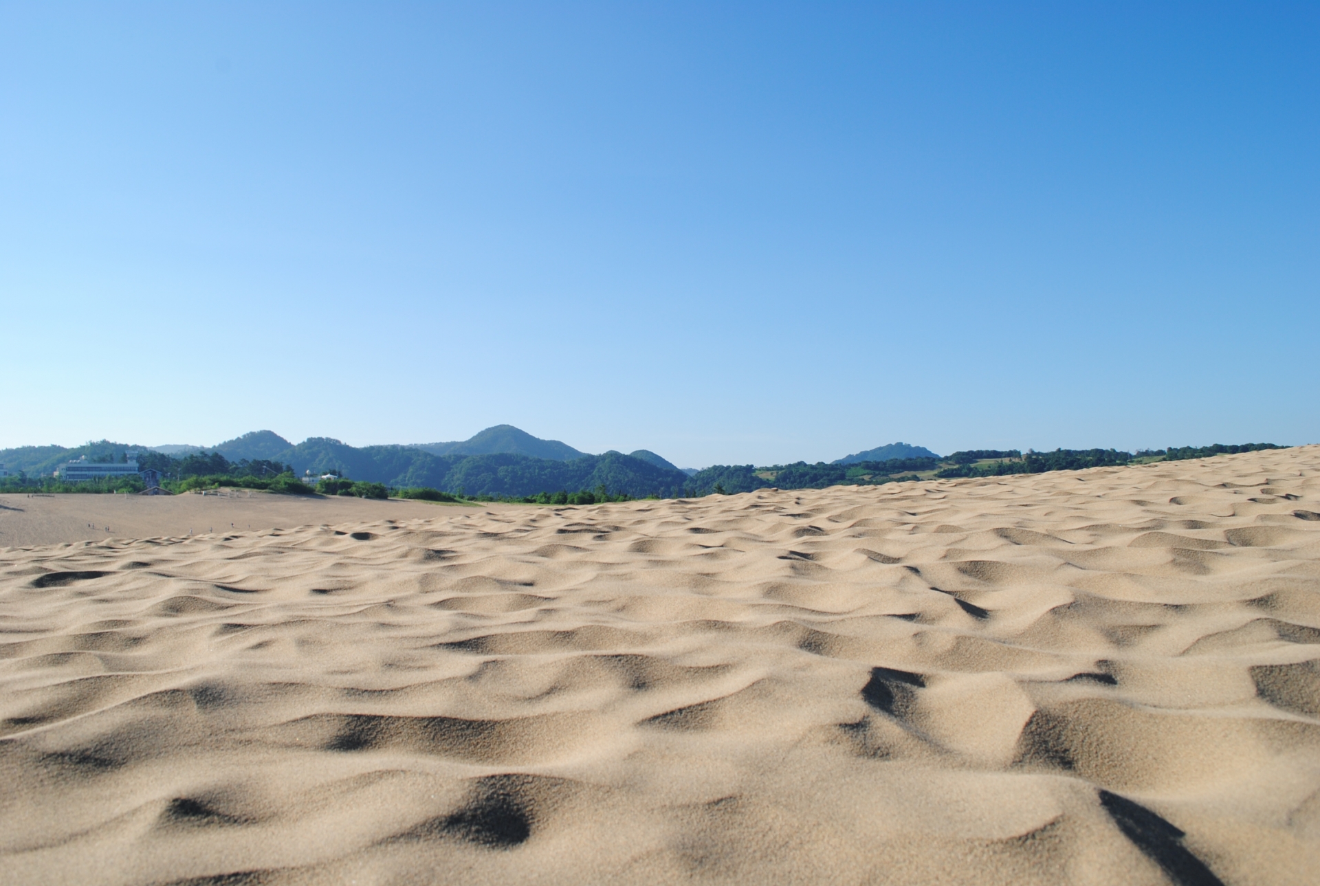 鳥取砂丘 風と時間がつくる日本最大級の砂の絶景