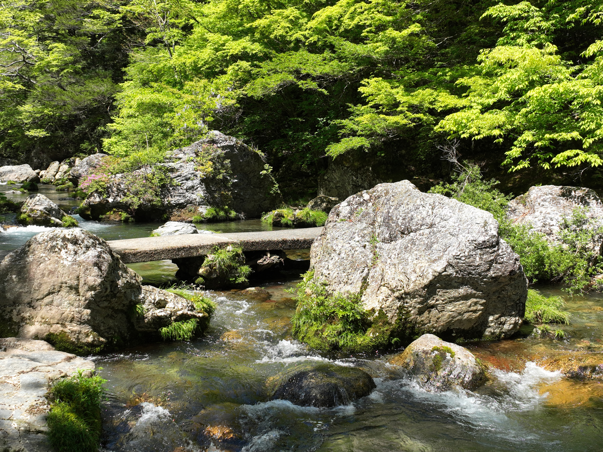 内子町 白壁の町並みを歩く旅 見どころとおすすめの過ごし方