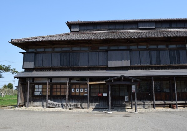 置賜紬 山形の山あいで受け継がれる、絣と草木染めの織物